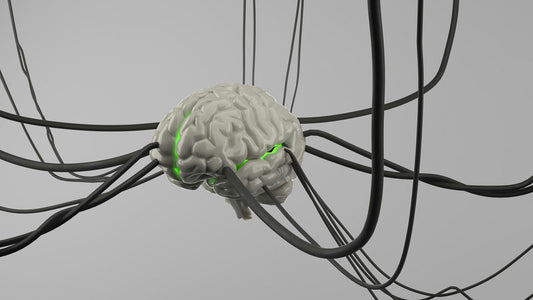 Your Brain Was Never Meant to Remember Everything
