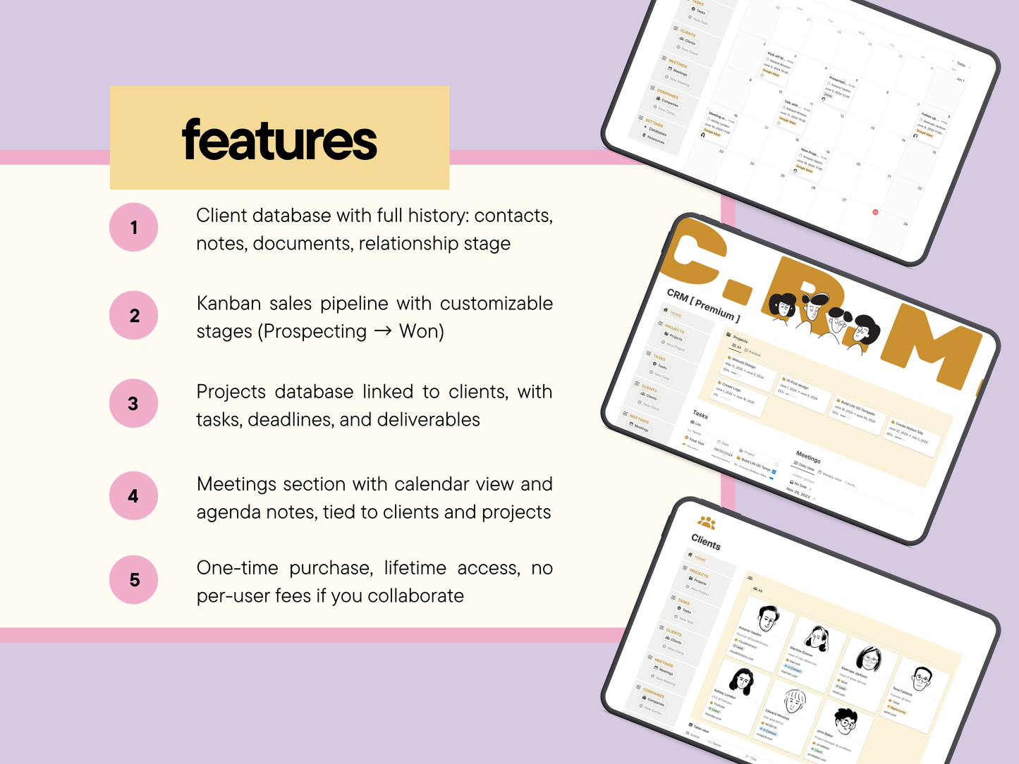 Notion Premium CRM Template
