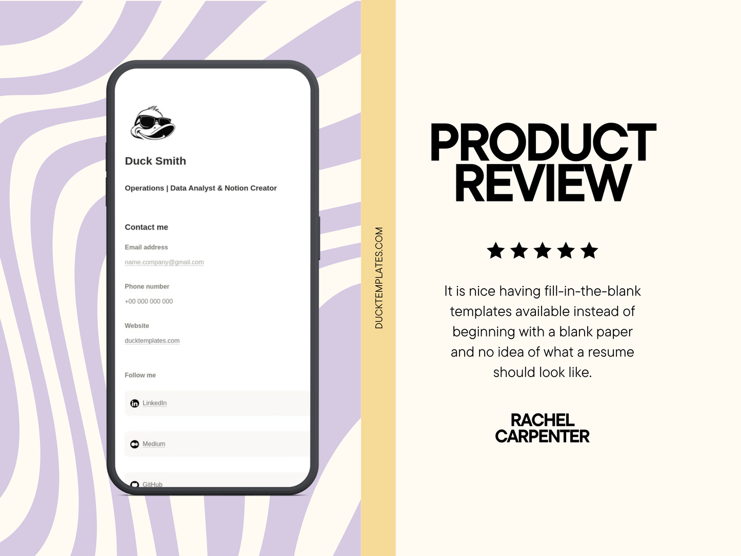 Notion Resume / CV Template